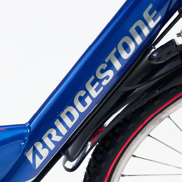 ワイルドベリー – Bridgestone Cycle Ethicle